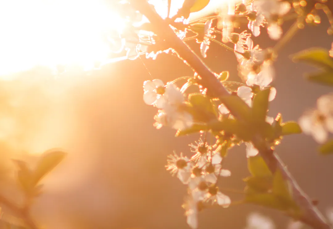 Spring Equinox